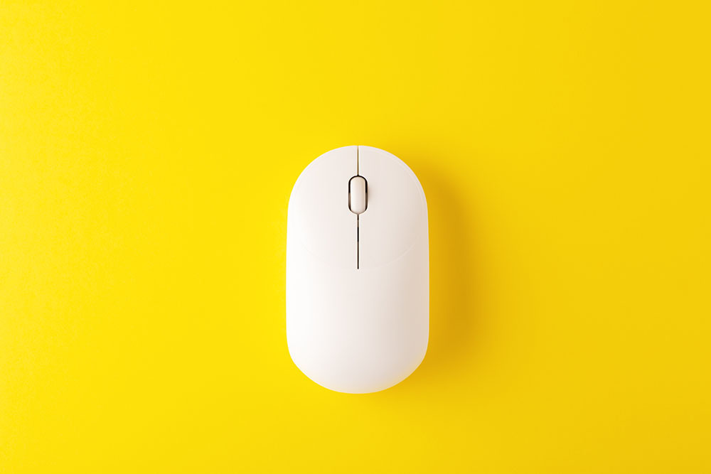 mouse